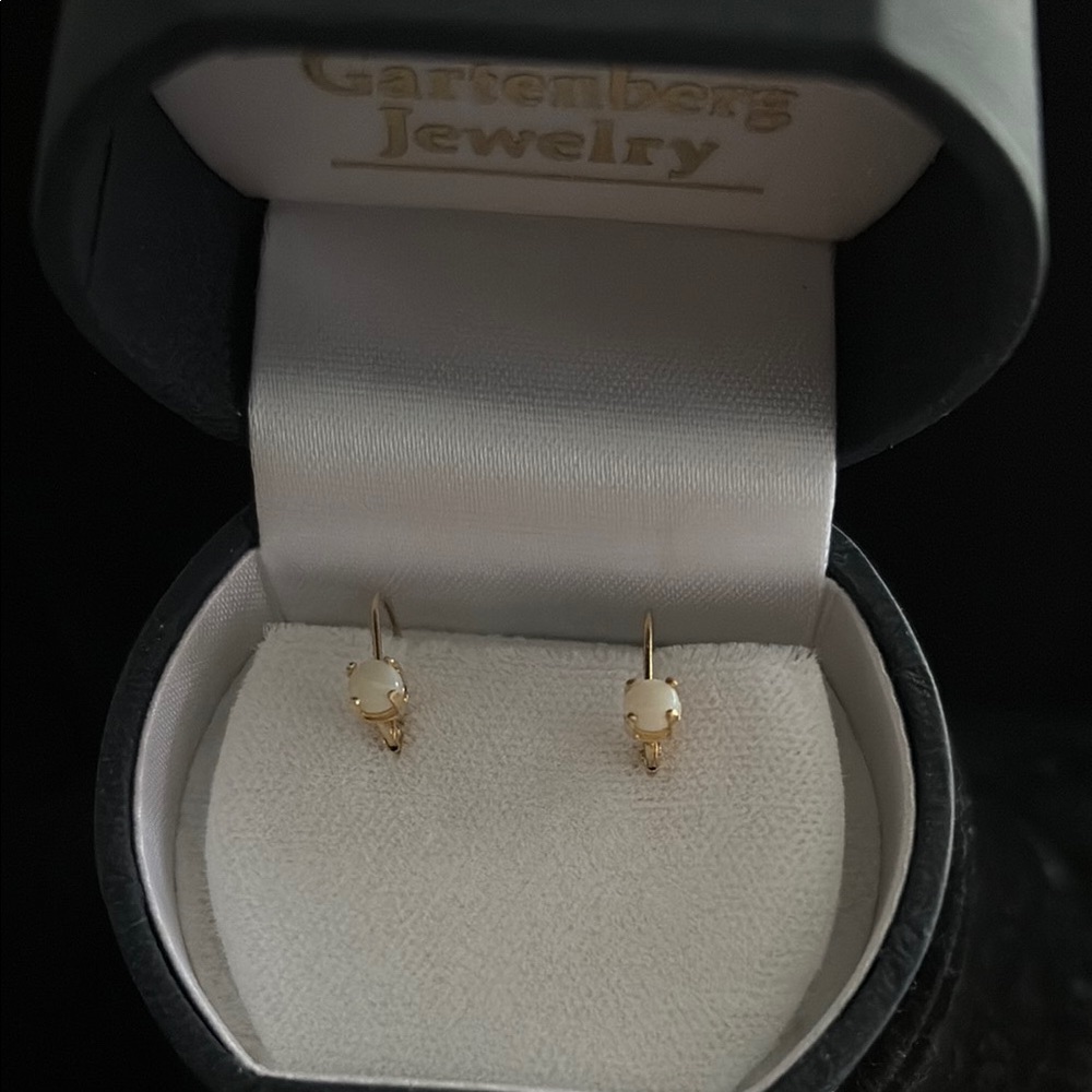 Gold Opal Hoop Earrings